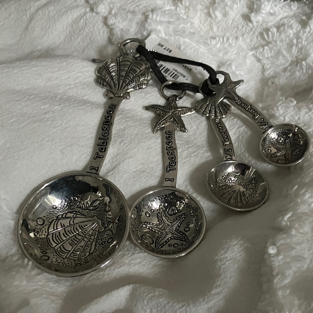 GANZ Silver Measuring Spoons Set